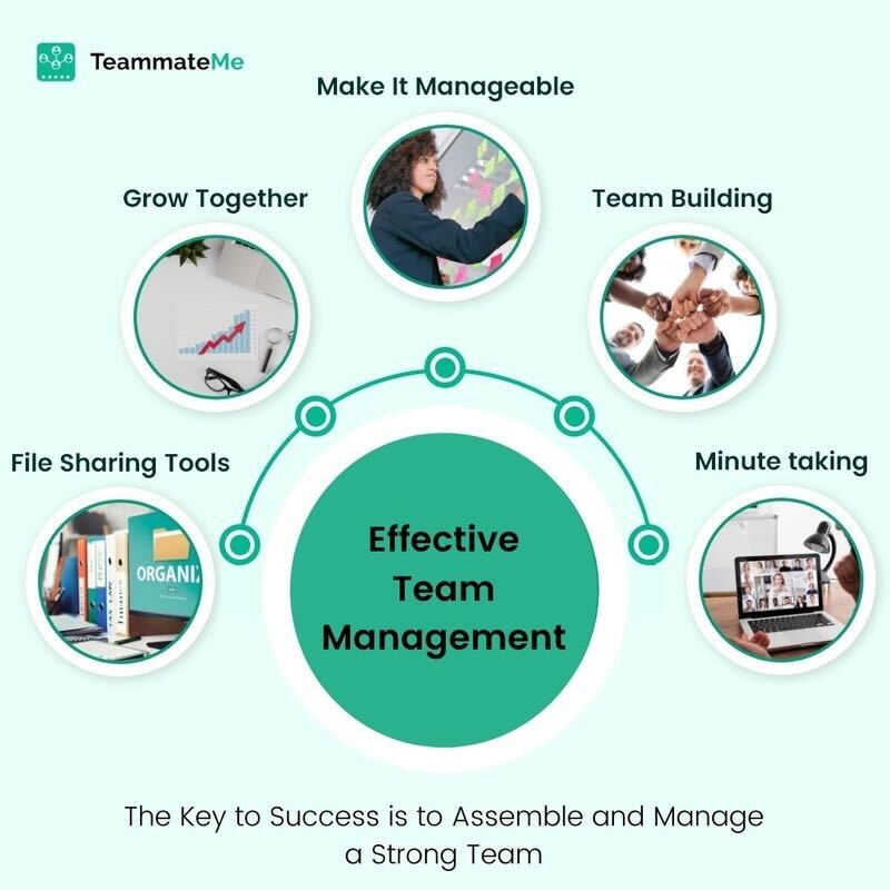 Effective Team Management - Infographic
